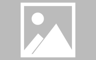 南县新区景区网站建设（in art criticism,you must assume）